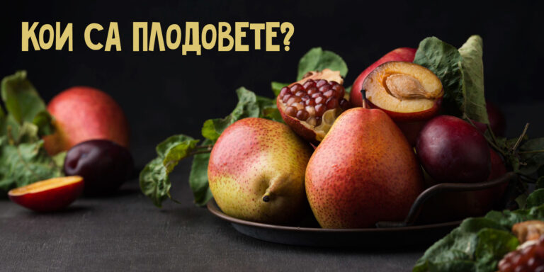 Игра: Подреждане на думи от разбъркани букви. Плодове