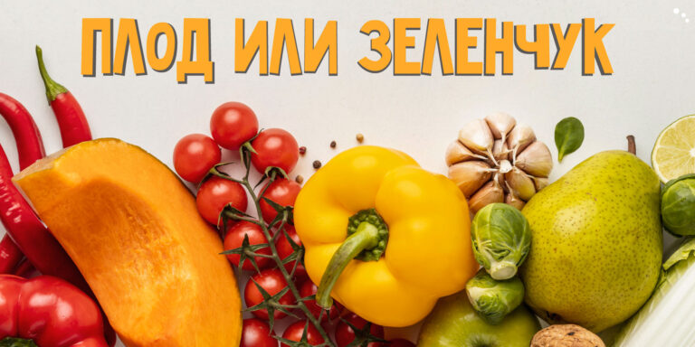 Плод или зеленчук