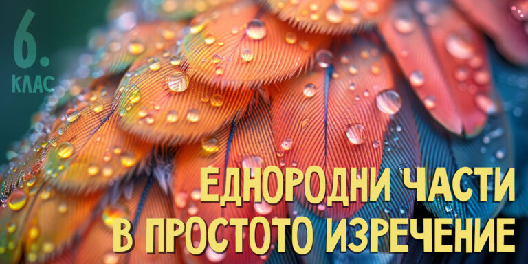 Еднородни части в простото изречение за 6-ти и 7-ми клас