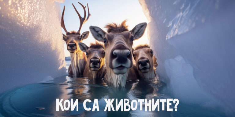 Игра: Подреждане на думи от разбъркани букви. Животни